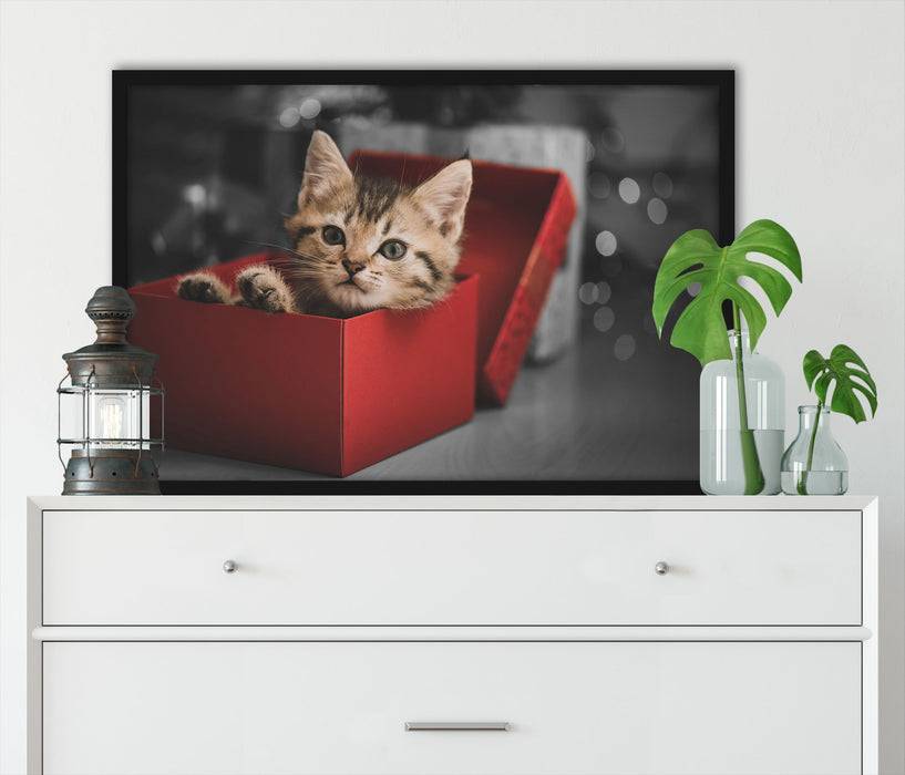 Pixxprint süsses Kätzchen in der Box, Poster mit Bilderrahmen Osterangebot
