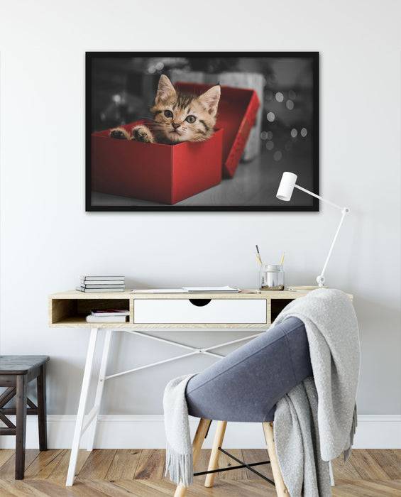 Pixxprint süsses Kätzchen in der Box, Poster mit Bilderrahmen Osterangebot