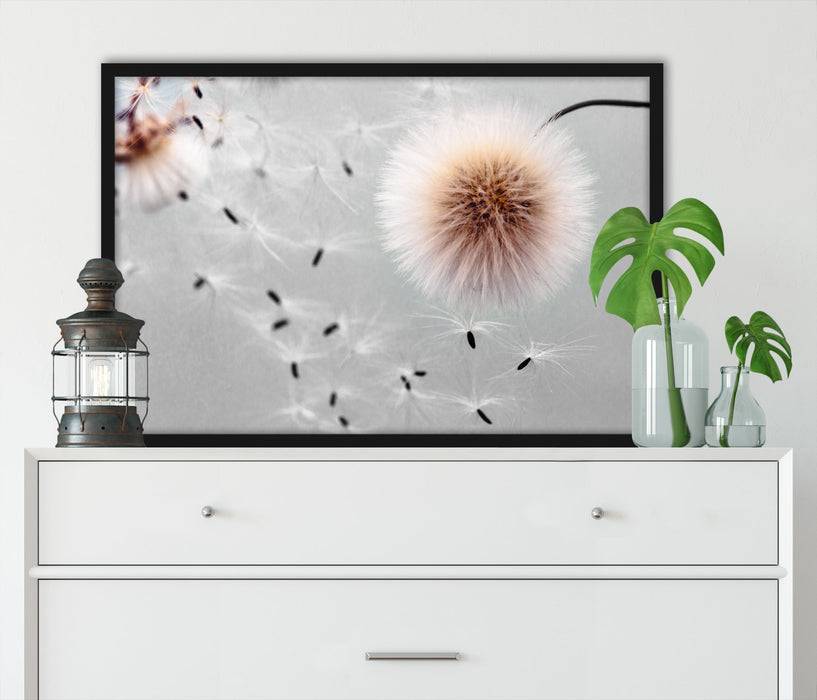 Pixxprint Pusteblumen in Bewegung, Poster mit Bilderrahmen Valentinstagsangebot