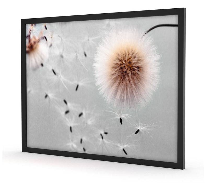 Pixxprint Pusteblumen in Bewegung, Poster mit Bilderrahmen Valentinstagsangebot