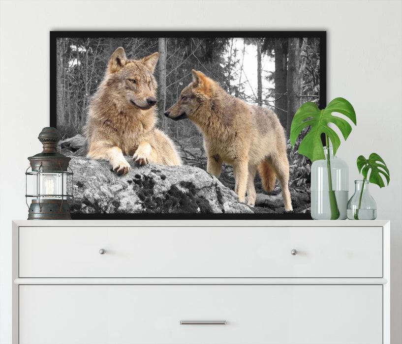 Pixxprint Wölfe im Wald, Poster mit Bilderrahmen Jubiläumsangebot