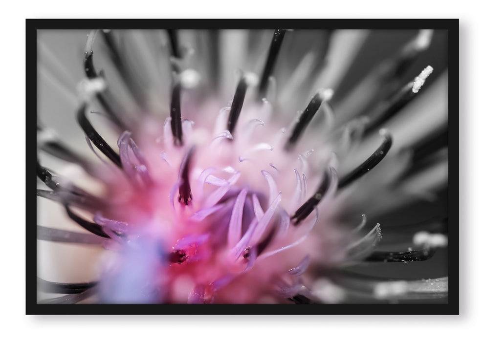 Pixxprint wunderschöne lila Blume im Fokus, Poster mit Bilderrahmen