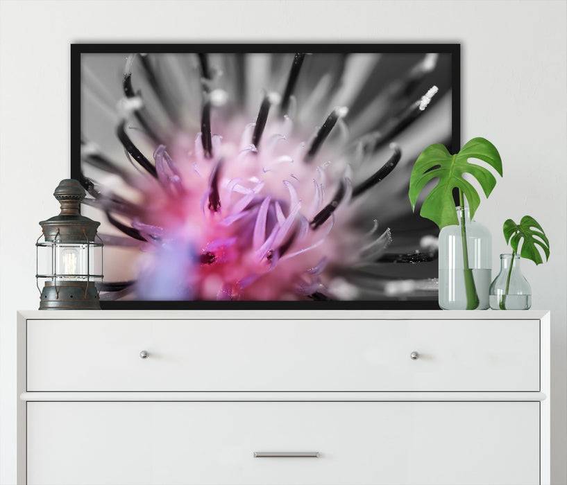 Pixxprint wunderschöne lila Blume im Fokus, Poster mit Bilderrahmen Neueste Mode