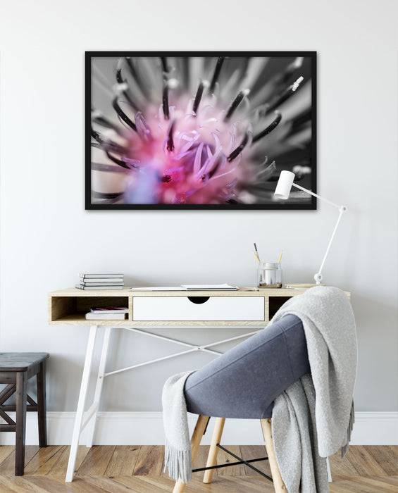 Pixxprint wunderschöne lila Blume im Fokus, Poster mit Bilderrahmen Neueste Mode