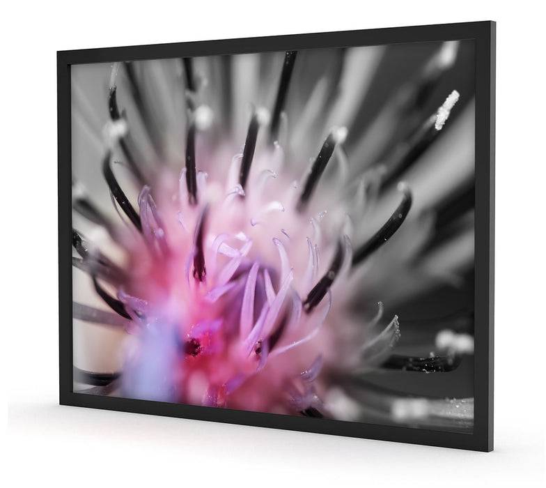 Pixxprint wunderschöne lila Blume im Fokus, Poster mit Bilderrahmen Neueste Mode