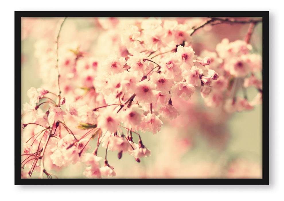 Pixxprint Kirschblüten, Poster mit Bilderrahmen