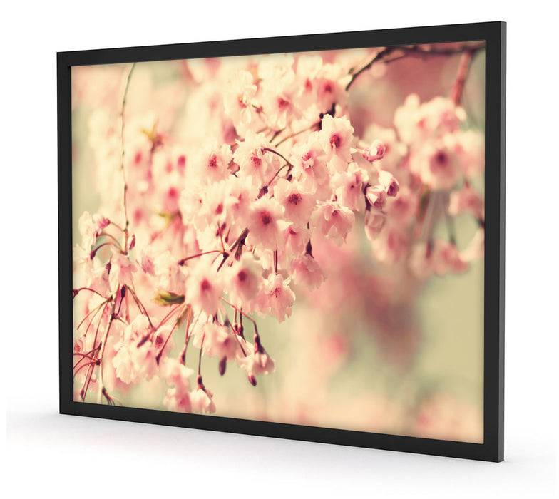 Pixxprint Kirschblüten, Poster mit Bilderrahmen Tiefpreis