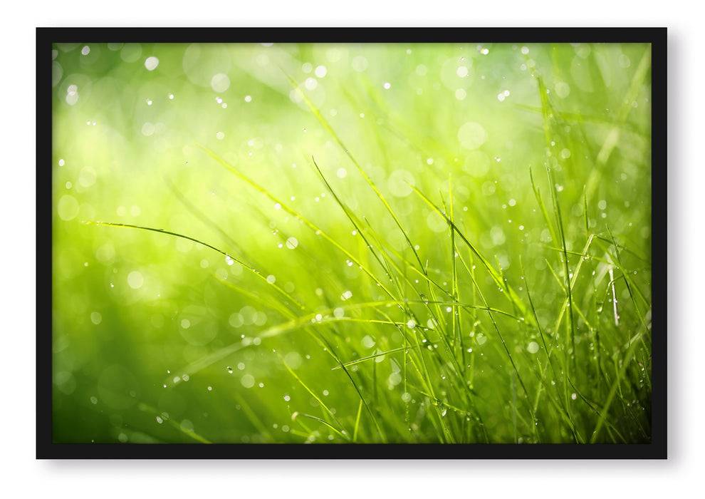Pixxprint Nasses Gras, Poster mit Bilderrahmen