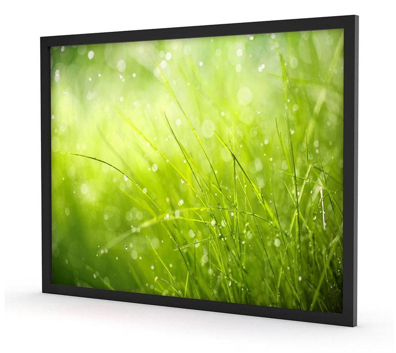 Pixxprint Nasses Gras, Poster mit Bilderrahmen Wochenangebot