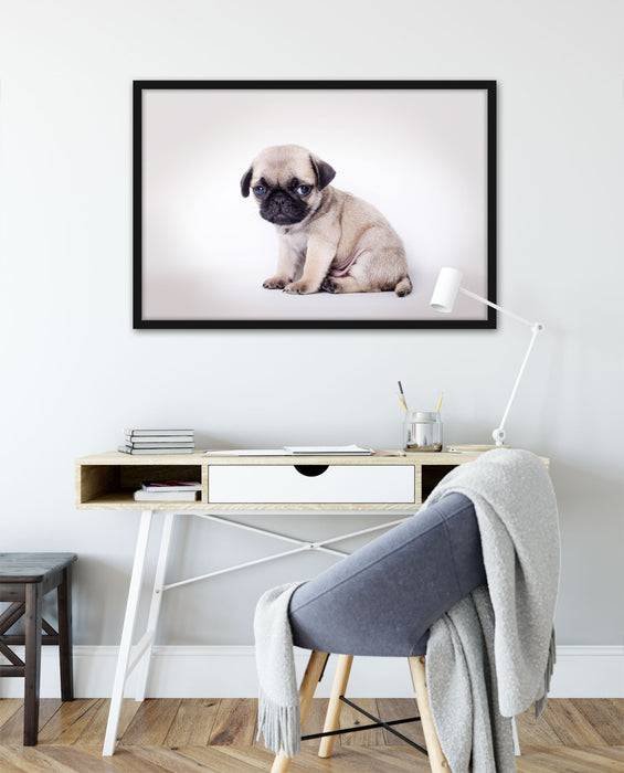 Pixxprint Kleiner Hundewelpe Mops, Poster mit Bilderrahmen Begrenzte Freigabe