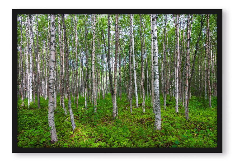 Pixxprint Birkenwald, Poster mit Bilderrahmen Letzter Tag