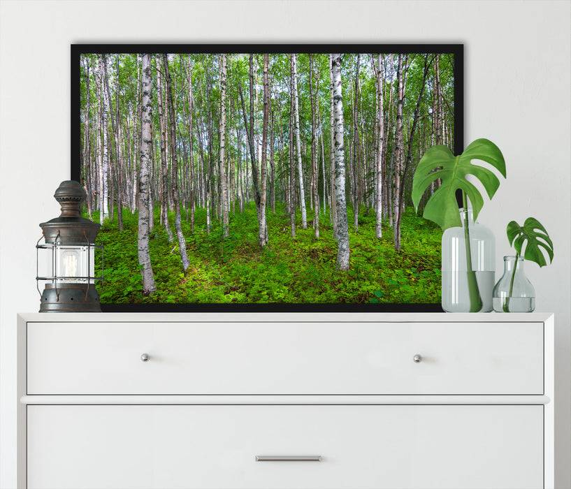 Pixxprint Birkenwald, Poster mit Bilderrahmen Letzter Tag