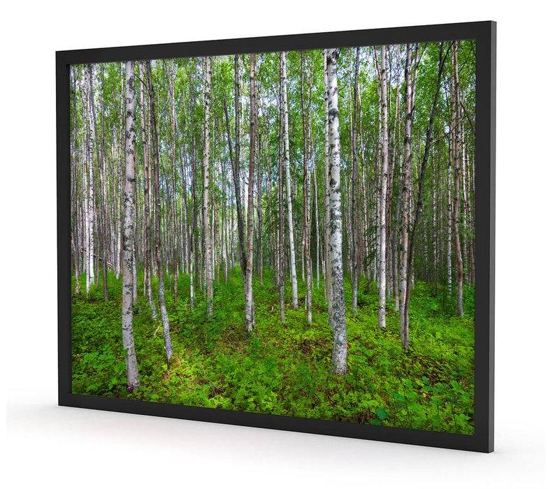Pixxprint Birkenwald, Poster mit Bilderrahmen Letzter Tag