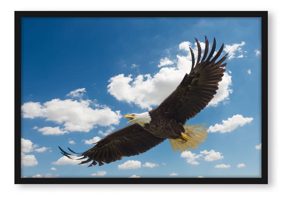 Pixxprint Adler fliegt über Berge, Poster mit Bilderrahmen Zeitbegrenzte Promotion