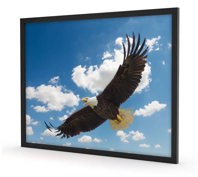 Pixxprint Adler fliegt über Berge, Poster mit Bilderrahmen Zeitbegrenzte Promotion