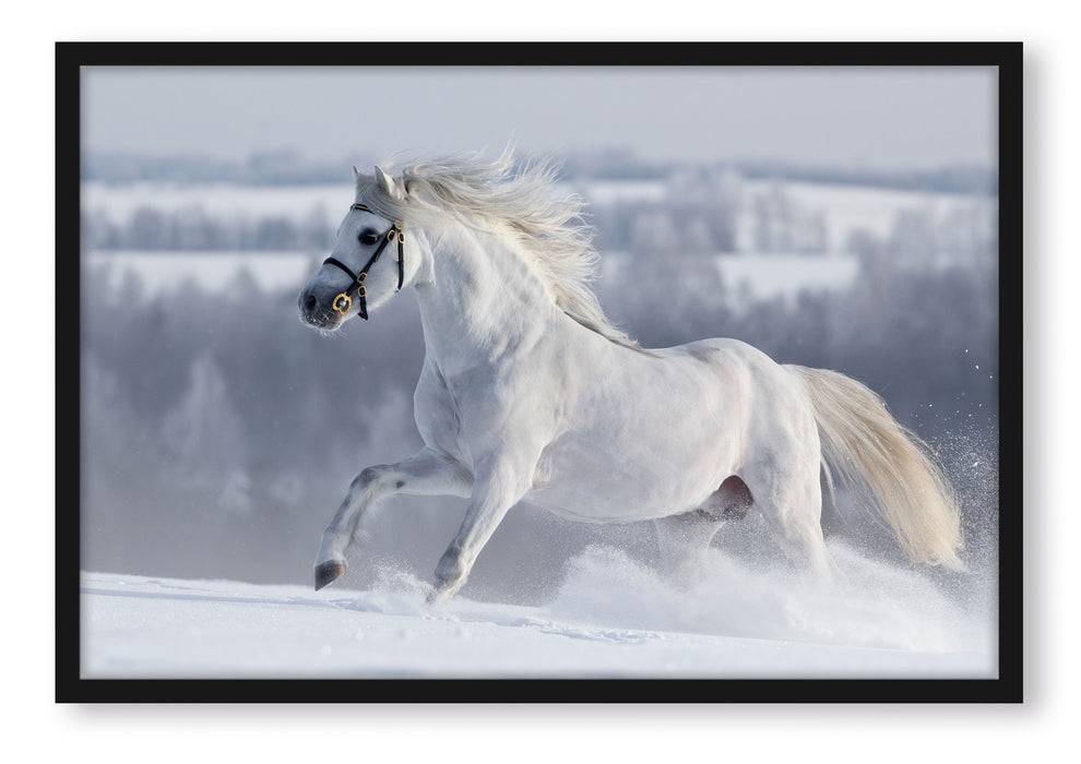 Pixxprint Weißes Pferd auf Schneewiese, Poster mit Bilderrahmen Bis zu 60% Rabatt
