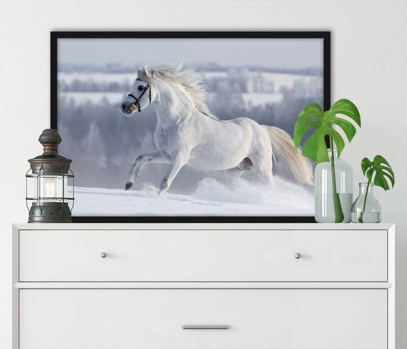 Pixxprint Weißes Pferd auf Schneewiese, Poster mit Bilderrahmen Bis zu 60% Rabatt
