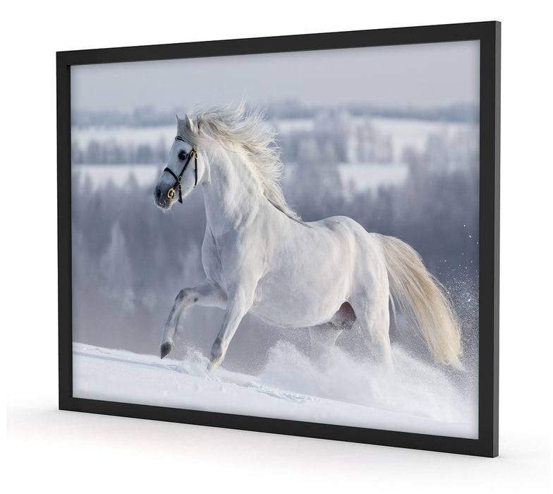 Pixxprint Weißes Pferd auf Schneewiese, Poster mit Bilderrahmen Bis zu 60% Rabatt