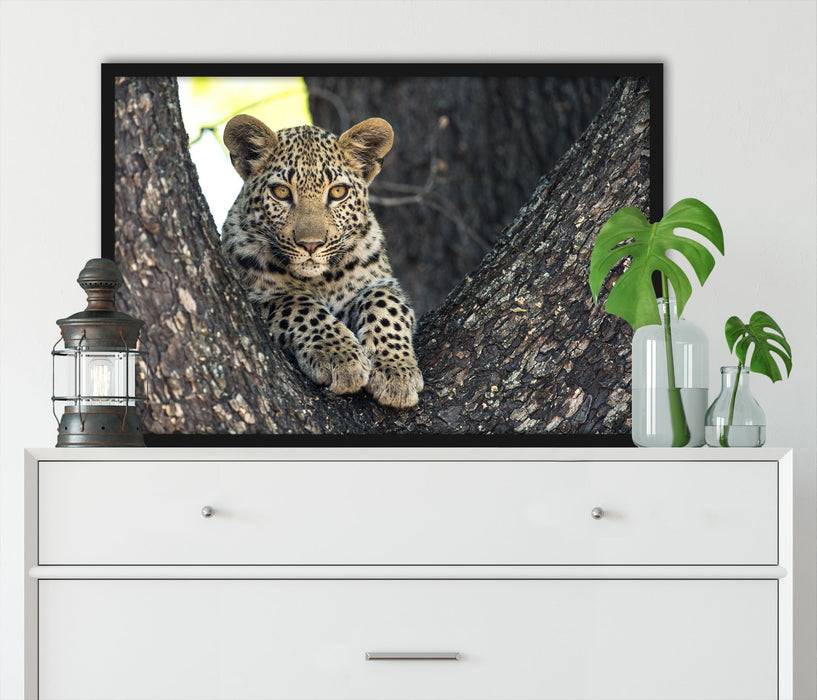 Pixxprint Leopardenbaby, Poster mit Bilderrahmen Bis zu 65% Rabatt