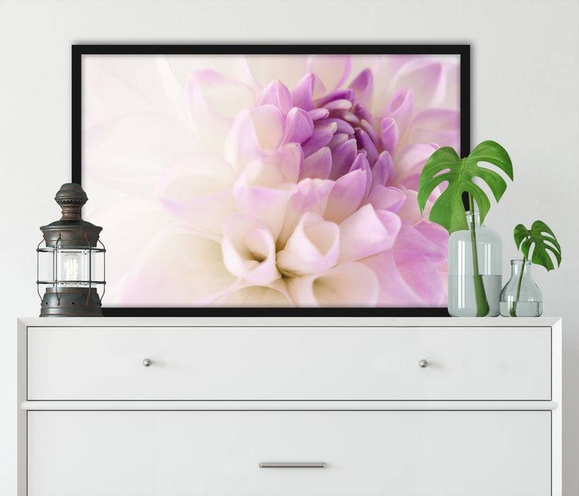 Pixxprint Traumhafte lila weiße Blüte, Poster mit Bilderrahmen Vierteljährliche Förderung