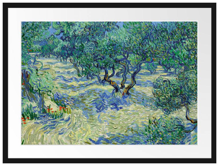 Pixxprint Vincent Van Gogh - Oliven-Feld , im Galerie-Passepartout Bilderrahmen Nur noch ein Tag übrig