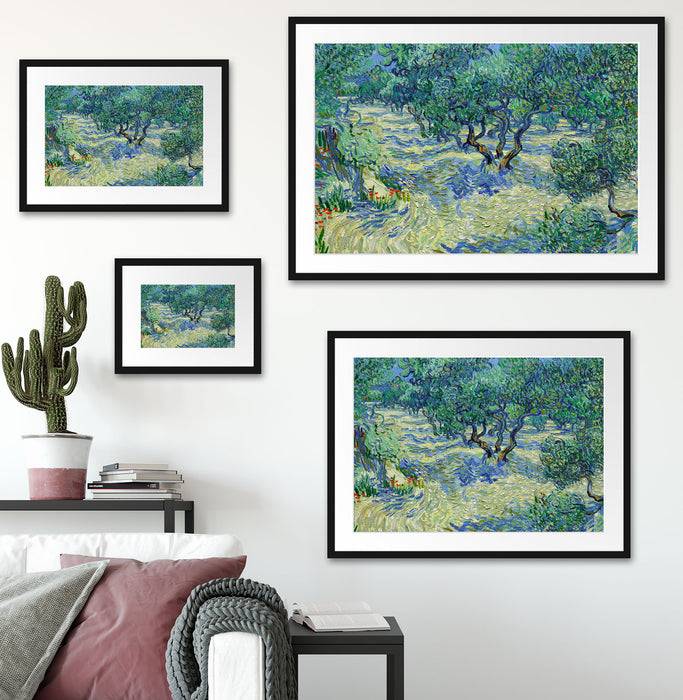 Pixxprint Vincent Van Gogh - Oliven-Feld , im Galerie-Passepartout Bilderrahmen Nur noch ein Tag übrig
