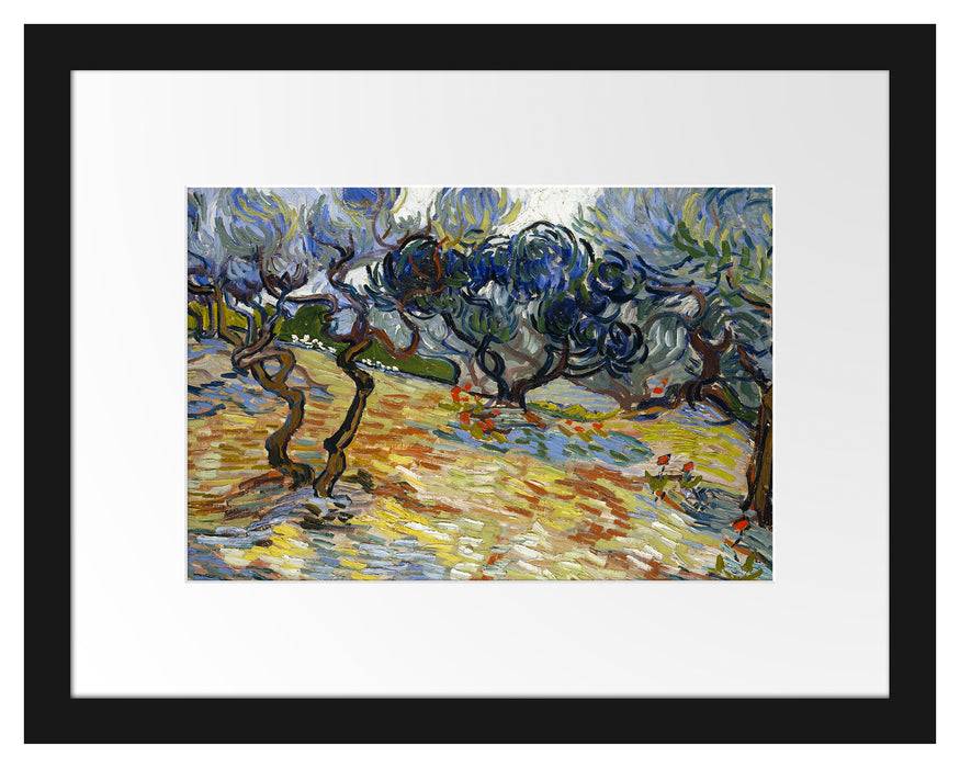 Pixxprint Vincent Van Gogh - Oliven-Bäume , im Galerie-Passepartout Bilderrahmen