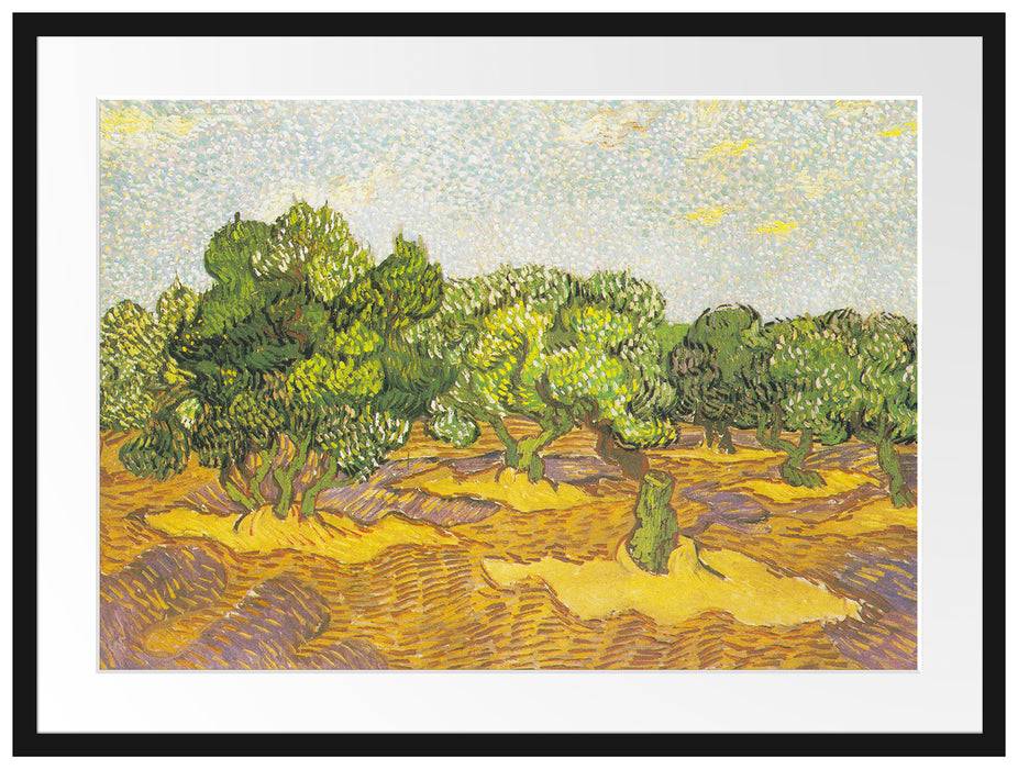 Pixxprint Vincent Van Gogh - Oliven-Bäume II , im Galerie-Passepartout Bilderrahmen Black Friday Preise