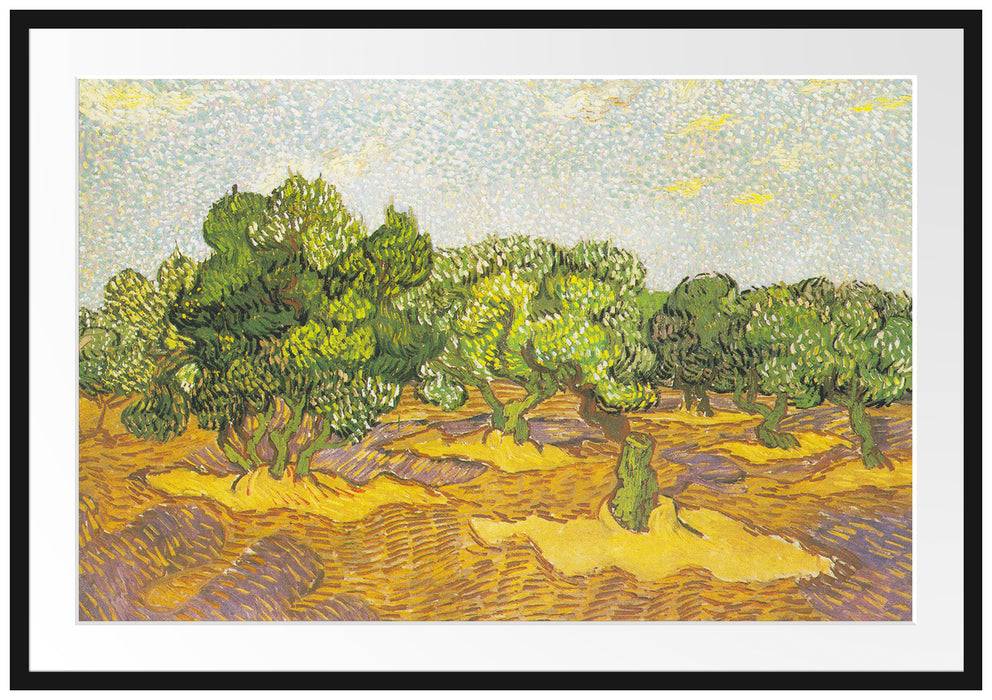 Pixxprint Vincent Van Gogh - Oliven-Bäume II , im Galerie-Passepartout Bilderrahmen Black Friday Preise