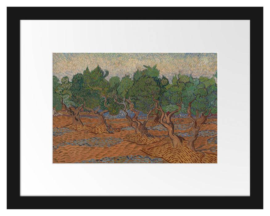 Pixxprint Vincent Van Gogh - Oliven-Hain , im Galerie-Passepartout Bilderrahmen