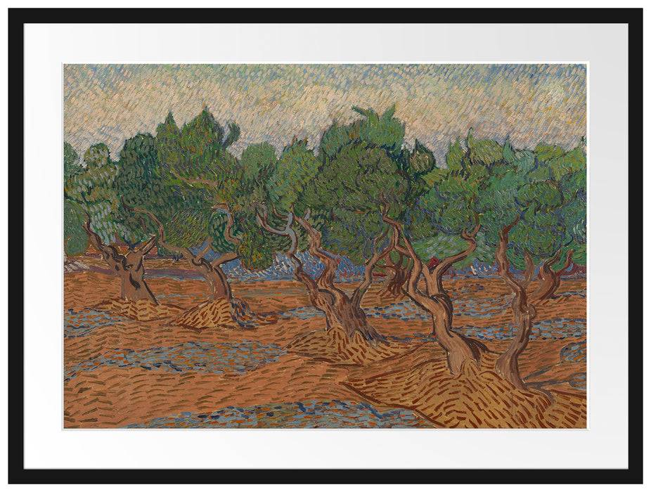 Pixxprint Vincent Van Gogh - Oliven-Hain , im Galerie-Passepartout Bilderrahmen zollfrei