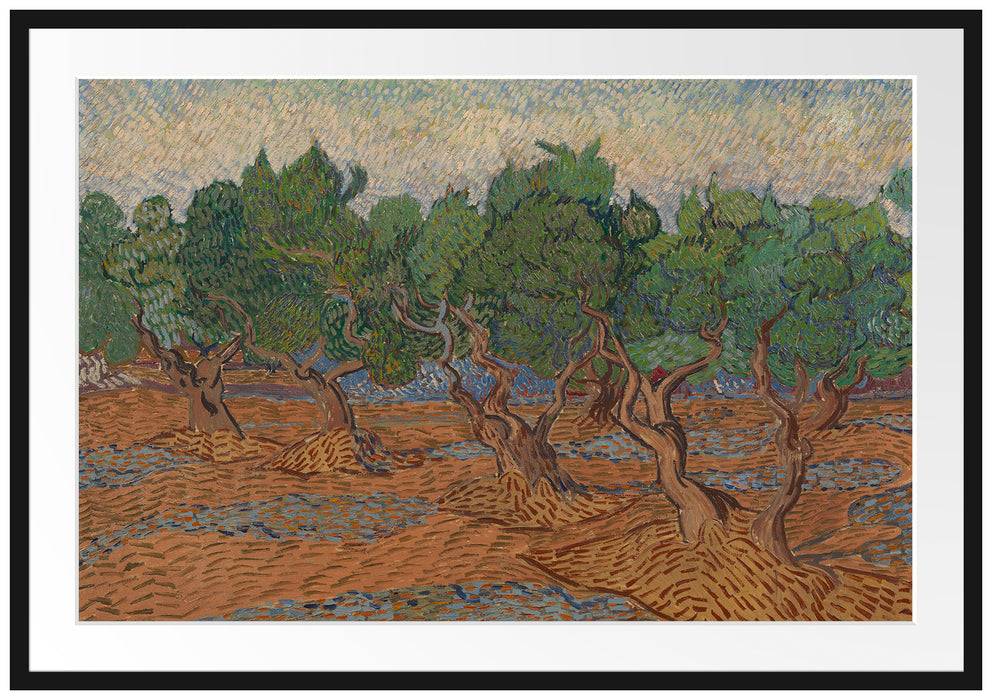 Pixxprint Vincent Van Gogh - Oliven-Hain , im Galerie-Passepartout Bilderrahmen zollfrei
