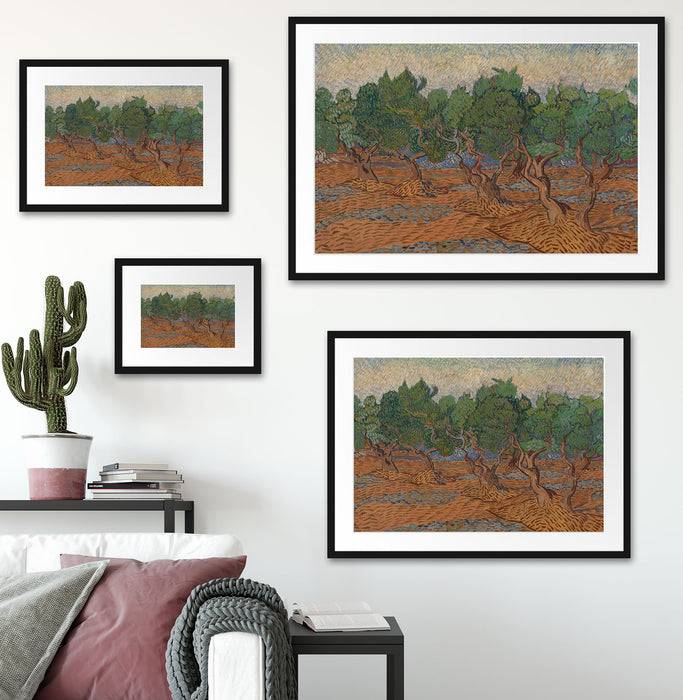 Pixxprint Vincent Van Gogh - Oliven-Hain , im Galerie-Passepartout Bilderrahmen zollfrei