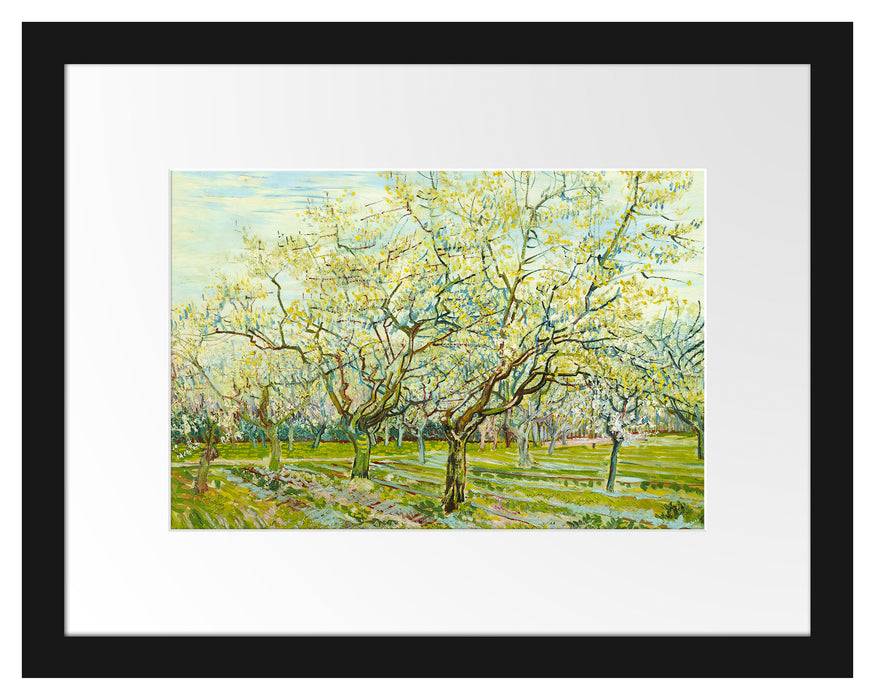 Pixxprint Vincent Van Gogh - Der weiße Obstgarten , im Galerie-Passepartout Bilderrahmen