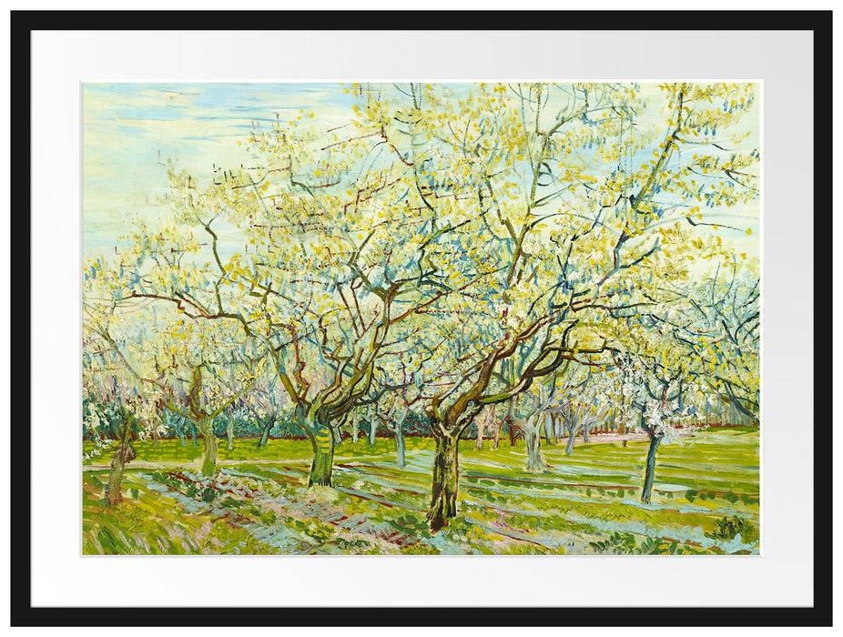 Pixxprint Vincent Van Gogh - Der weiße Obstgarten , im Galerie-Passepartout Bilderrahmen Online