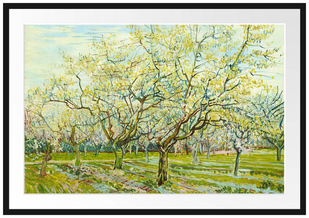 Pixxprint Vincent Van Gogh - Der weiße Obstgarten , im Galerie-Passepartout Bilderrahmen Online