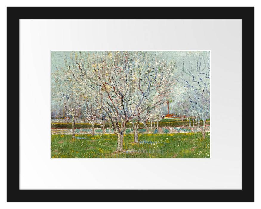 Pixxprint Vincent Van Gogh - Blühender Obstgarten Pflaumenbaum , im Galerie-Passepartout Bilderrahmen Verkauf