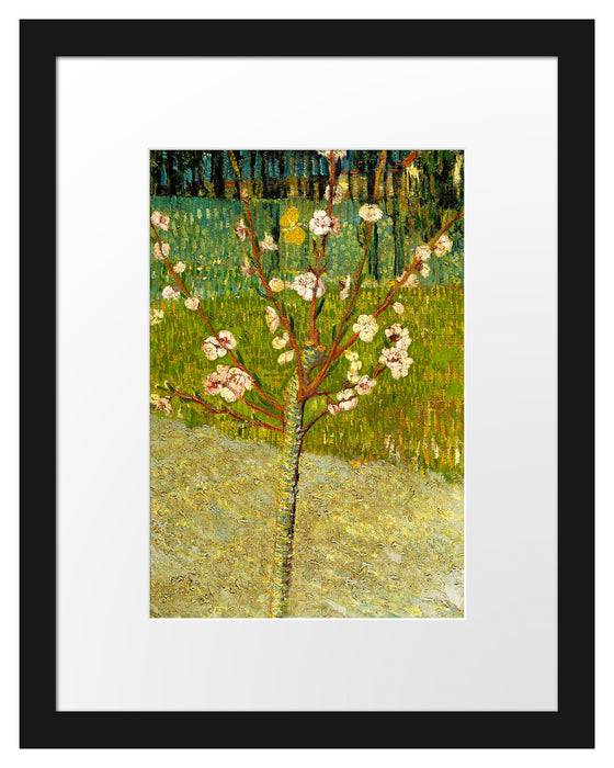 Pixxprint Vincent Van Gogh - Blühender Mandelbaum , im Galerie-Passepartout Bilderrahmen Hotsell