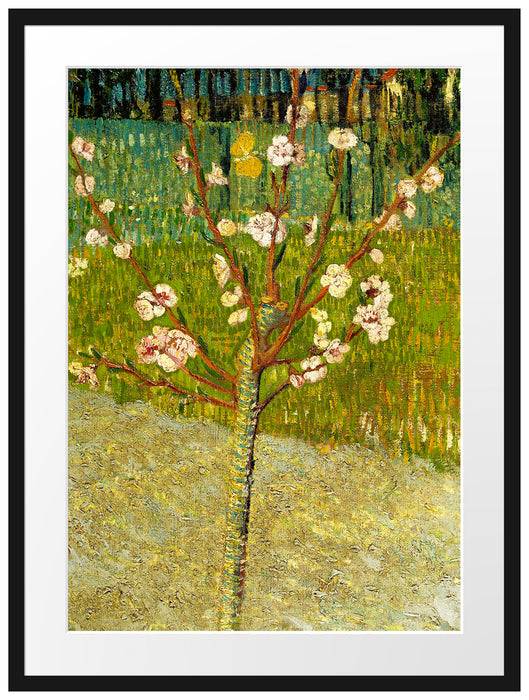 Pixxprint Vincent Van Gogh - Blühender Mandelbaum , im Galerie-Passepartout Bilderrahmen Hotsell