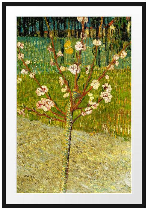 Pixxprint Vincent Van Gogh - Blühender Mandelbaum , im Galerie-Passepartout Bilderrahmen Hotsell