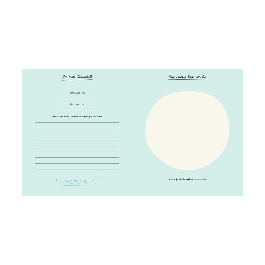 Pleased To Meet Mein Schwangerschaftstagebuch Wochenangebot