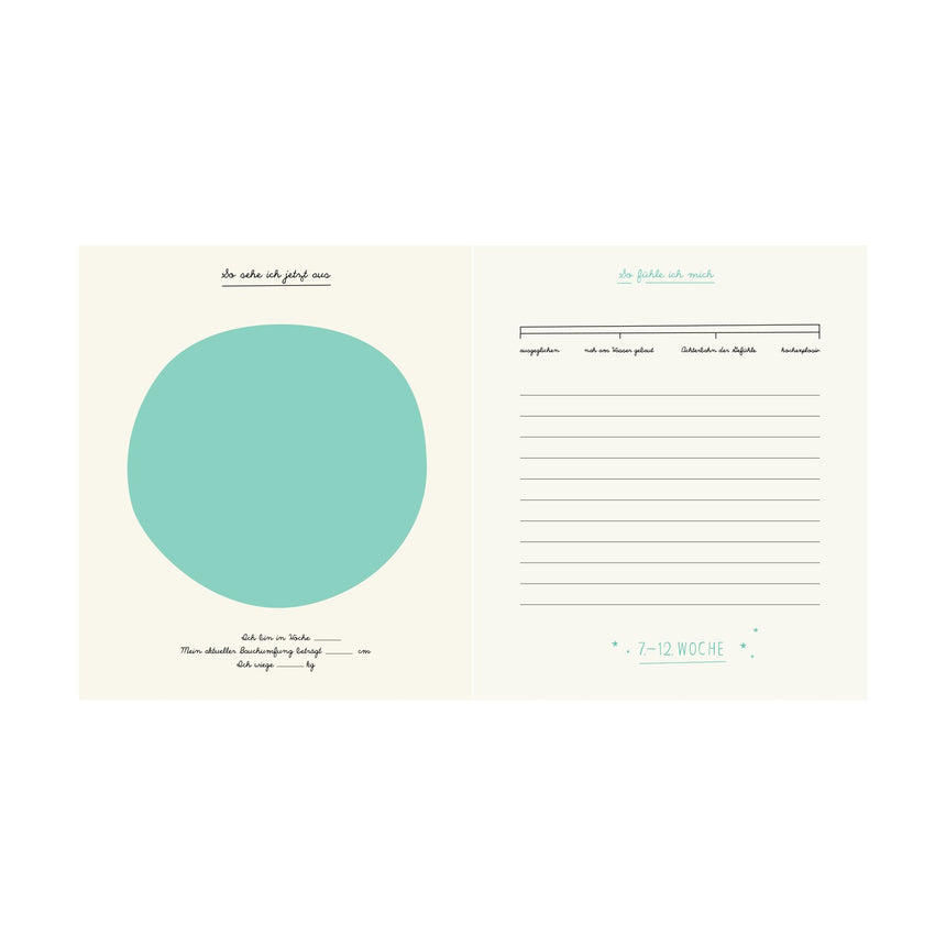 Pleased To Meet Mein Schwangerschaftstagebuch Wochenangebot